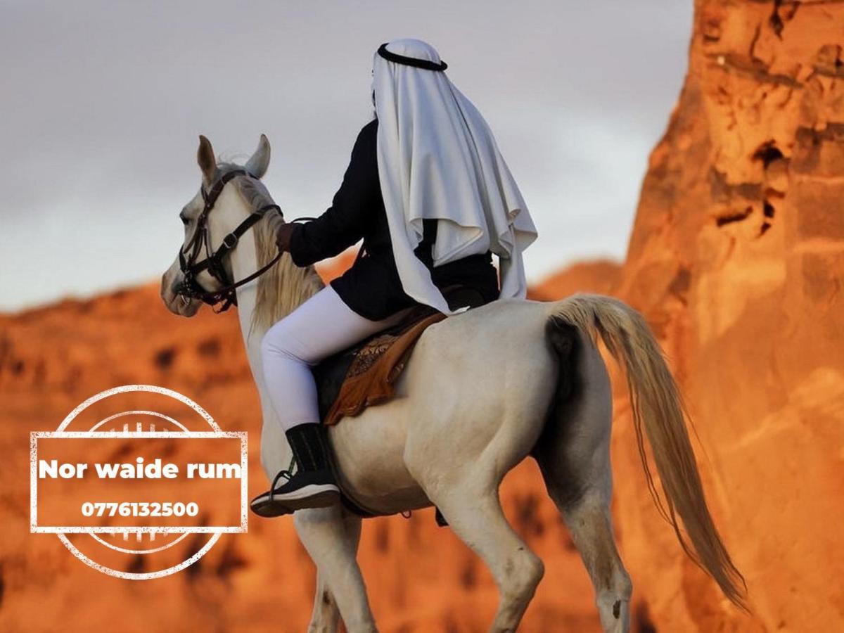 Nor Wadi Rum Esterno foto